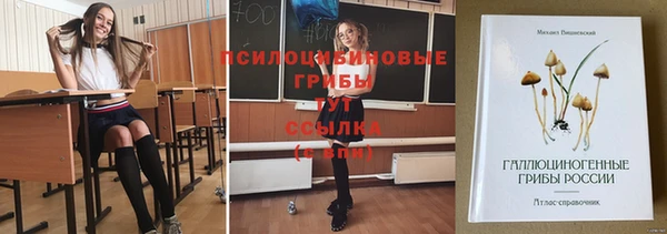 молекула духа Алексин