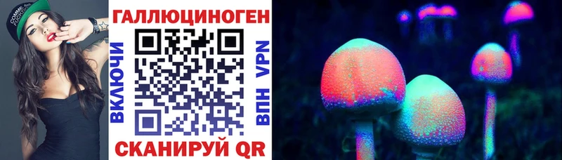 Галлюциногенные грибы GOLDEN TEACHER  Кудрово 